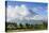 Mount Mayon Volcano, Legazpi, Southern Luzon, Philippines-Michael Runkel-Premier Image Canvas