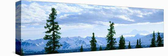 Mount Mckinley, Alaska-null-Stretched Canvas