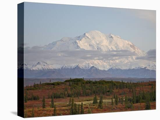 Mount Mckinley (Mount Denali) at Sunset in Fall, Denali National Park and Preserve, Alaska-James Hager-Premier Image Canvas