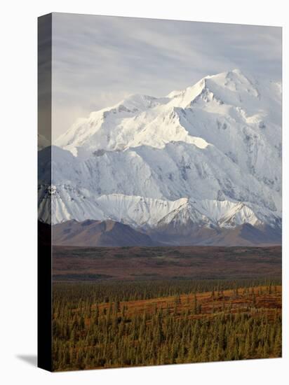 Mount Mckinley (Mount Denali), Denali National Park and Preserve, Alaska, United States of America-James Hager-Premier Image Canvas