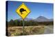 Mount Ngauruhoe with Kiwi Crossing Sign-Stuart-Premier Image Canvas