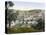 Mount Of Olives, C1900-null-Premier Image Canvas