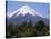 Mount Osorno, a Volcano in Vicente Rosales National Park, Lake District, Chile, South America-Ken Gillham-Premier Image Canvas