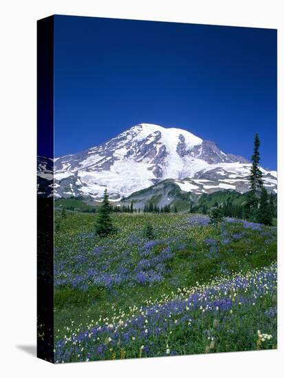 Mount Rainier and Wildflower Meadow-Terry Eggers-Premier Image Canvas