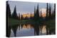 Mount Rainier at Dawn-Ken Archer-Premier Image Canvas