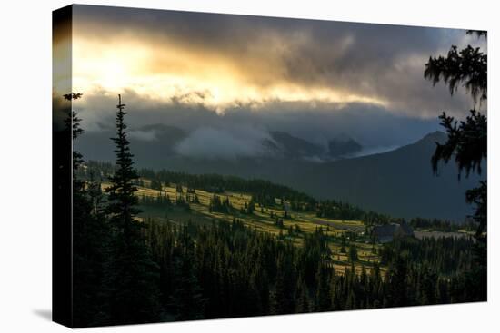 Mount Rainier meadows at sunrise, Cascade Ranges, Washington State, United States of America, North-Tyler Lillico-Premier Image Canvas