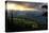 Mount Rainier meadows at sunrise, Cascade Ranges, Washington State, United States of America, North-Tyler Lillico-Premier Image Canvas