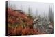 Mount Rainier National Park, Autumn Fog-Ken Archer-Premier Image Canvas