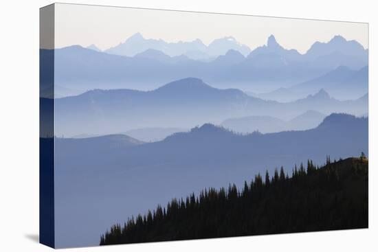 Mount Rainier National Park, Cascade Mountains-Ken Archer-Premier Image Canvas