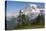 Mount Rainier National Park, Mount Rainier-Ken Archer-Premier Image Canvas