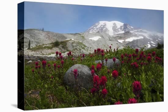 Mount Rainier National Park, Mount Rainier-Ken Archer-Premier Image Canvas