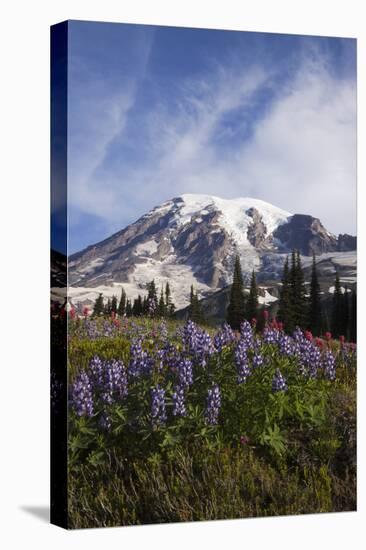 Mount Rainier National Park, Wildflowers-Ken Archer-Premier Image Canvas