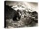 Mount Rainier, Two Women and a Man on Horse Trail, 1914-Asahel Curtis-Premier Image Canvas