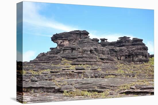 Mount Roraima Landscape (Intersection of Borders: Venezuela, Guyana, Brazil)-zanskar-Premier Image Canvas