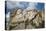 Mount Rushmore and Eagle-Galloimages Online-Premier Image Canvas