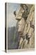 Mount Rushmore Carved Up-Achille Beltrame-Stretched Canvas