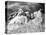 Mount Rushmore Construction-null-Premier Image Canvas