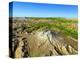 Mount Saint Helens-Stocktrek Images-Premier Image Canvas