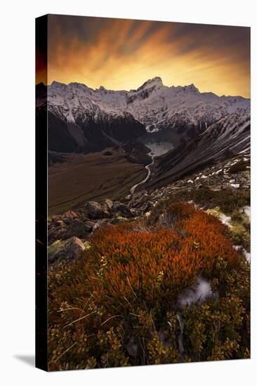 Mount Sefton-Yan Zhang-Premier Image Canvas