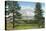 Mount Shasta, California - View of the Mountain from a Meadow, c.1940-Lantern Press-Stretched Canvas