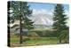 Mount Shasta, California - View of the Mountain from a Meadow, c.1940-Lantern Press-Stretched Canvas