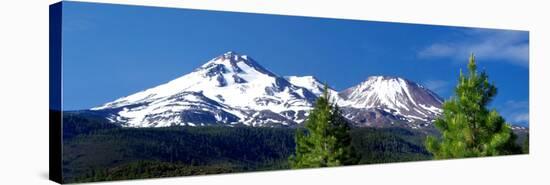 Mount Shasta Morning Vista II-Douglas Taylor-Stretched Canvas