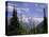 Mount Sir Donald, Glacier National Park, Rocky Mountains, British Columbia (B.C.), Canada-Geoff Renner-Premier Image Canvas