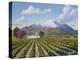 Mount St Helena-Eduardo Camoes-Premier Image Canvas