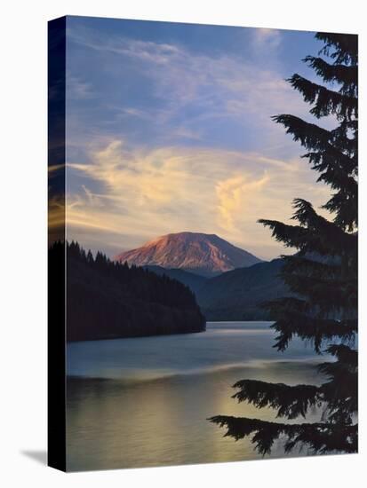 Mount St. Helens (After)-Steve Terrill-Premier Image Canvas