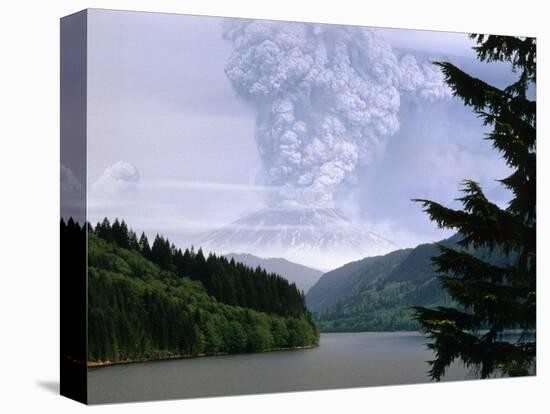 Mount St. Helens Erupting-Steve Terrill-Premier Image Canvas