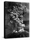 Mount St. Helens in Eruption on May 18, 1980-null-Stretched Canvas