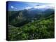 Mount St. Helens National Volcanic Monument, Washington, USA-Charles Gurche-Premier Image Canvas