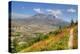 Mount St. Helens with wild flowers, Mount St. Helens National Volcanic Monument, Washington State, -Richard Maschmeyer-Premier Image Canvas