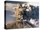 Mount St. Helens-null-Premier Image Canvas