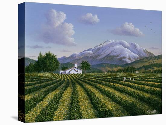 Mount Sta Helena - Napa Valley-Eduardo Camoes-Premier Image Canvas