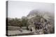 Mount Taishan, UNESCO World Heritage Site, Taian, Shandong province, China, Asia-Michael Snell-Premier Image Canvas