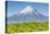 Mount Taranaki (Egmont) and Grazing Dairy Cows, Taranaki, North Island, New Zealand-Doug Pearson-Premier Image Canvas