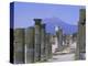 Mount Vesuvius Seen from the Ruins of Pompeii, Campania, Italy-Anthony Waltham-Premier Image Canvas