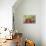 Mountain azalea, USA-Lisa Engelbrecht-Premier Image Canvas displayed on a wall