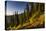 Mountain Biker Descends The Fuzzy Bunny Trail On Teton Pass Near Wilson, Wyoming-Jay Goodrich-Premier Image Canvas