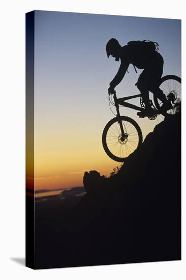 Mountain Biker Riding Down Slope-null-Stretched Canvas