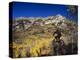 Mountain Biking in Fall, Uinta National Forest, Provo, Utah-Howie Garber-Premier Image Canvas