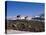 Mountain Biking in Loveland Pass, Colorado, USA-Lee Kopfler-Premier Image Canvas