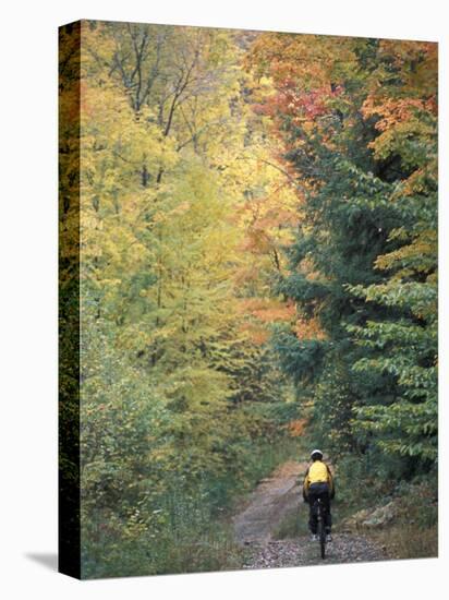 Mountain Biking on Old Logging Road of Rice Hill, Green Mountains, Vermont, USA-Jerry & Marcy Monkman-Premier Image Canvas