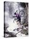 Mountain Biking, Vail, Colorado, USA-Lee Kopfler-Premier Image Canvas