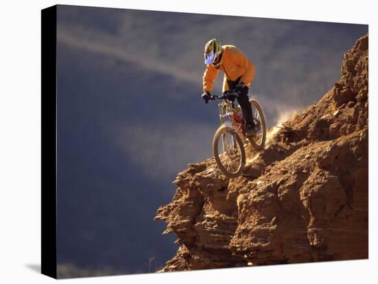 Mountain Biking-null-Premier Image Canvas