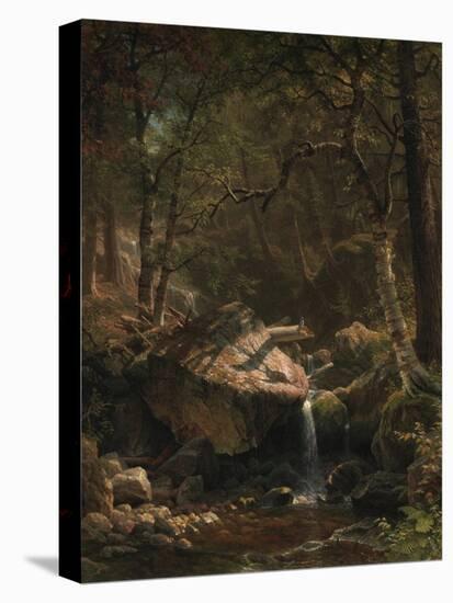Mountain Brook, 1863-Albert Bierstadt-Premier Image Canvas