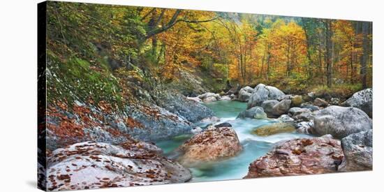 Mountain brook and rocks, Carinthia, Austria-Frank Krahmer-Stretched Canvas