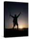 Mountain Climber Rejoices at the Summit at Sunrise-null-Premier Image Canvas