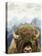Mountain Fluffy Bison-Marcus Prime-Stretched Canvas